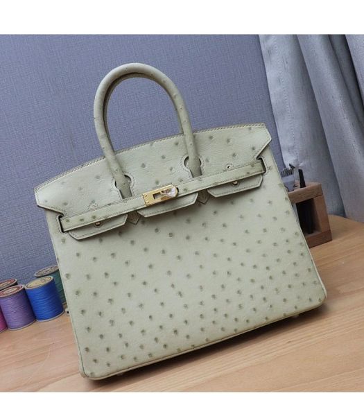 Hermes Birkin 25cm Bag Offwhite Real Ostrich Leather Golden Metal