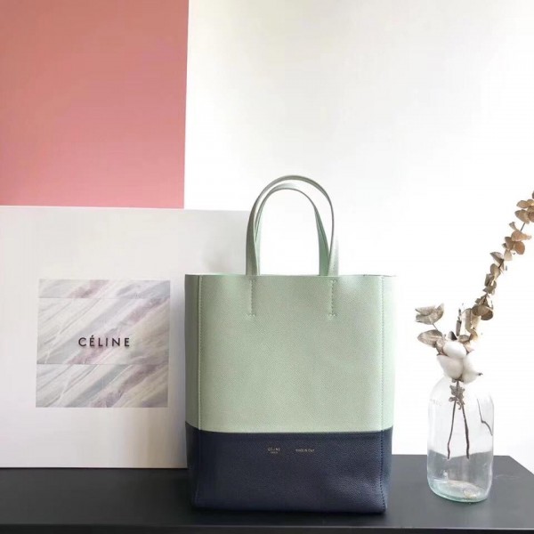 Celine Small Cabas Shopping Bag in Grained Calfskin 189813 Pale Green/Black 2019