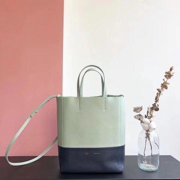 Celine Small Cabas Shopping Bag in Grained Calfskin 189813 Pale Green/Black 2019