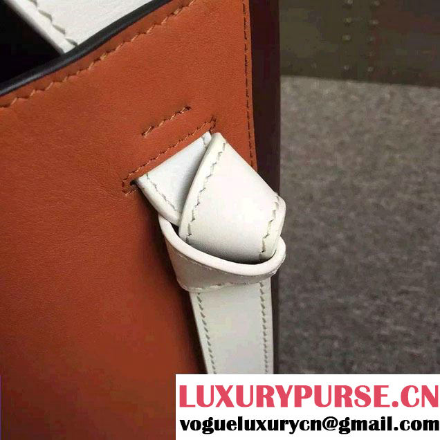 Celine Shiny Smooth Calfskin Twisted Cabas Small Bag Orange and Burgundy Runway 2015