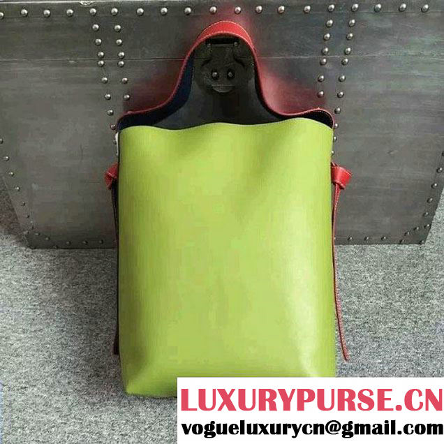 Celine Shiny Smooth Calfskin Twisted Cabas Small Bag White and Green Runway 2015