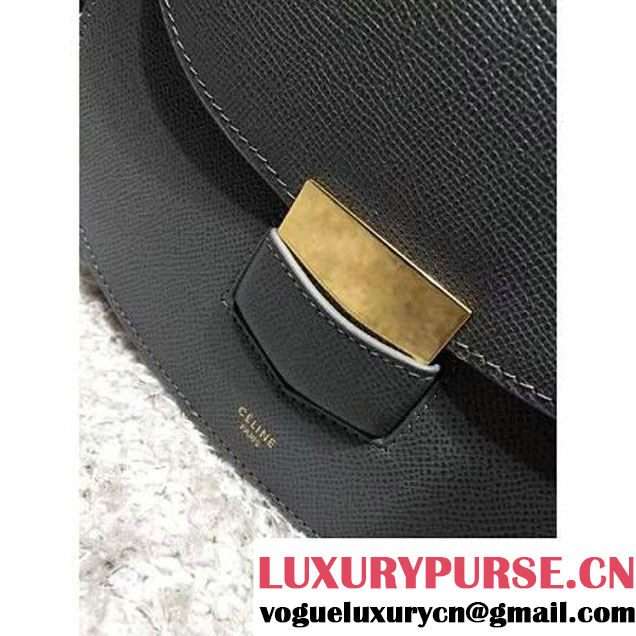 Celine Trotteur Bag In Etoupe Leather Calfskin Fall-2015 (2A193-091119 )