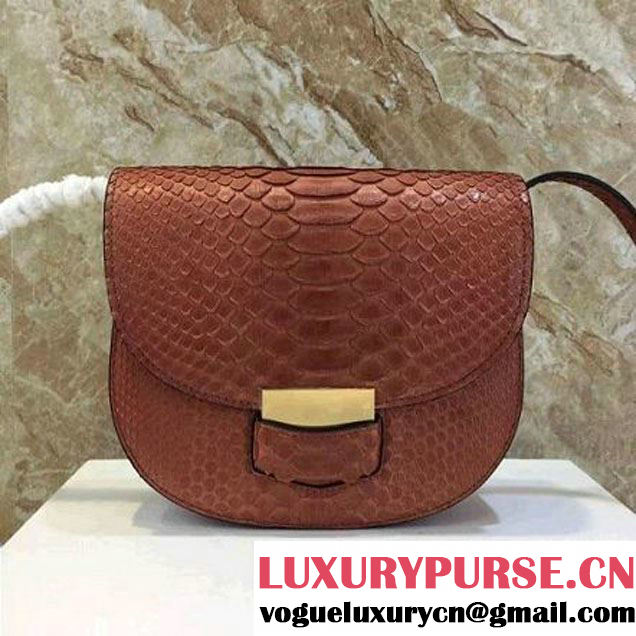 Celine Small Trotteur Shoulder Bag in Python Leather Cinnamon 2016 (1A021-6080225 )