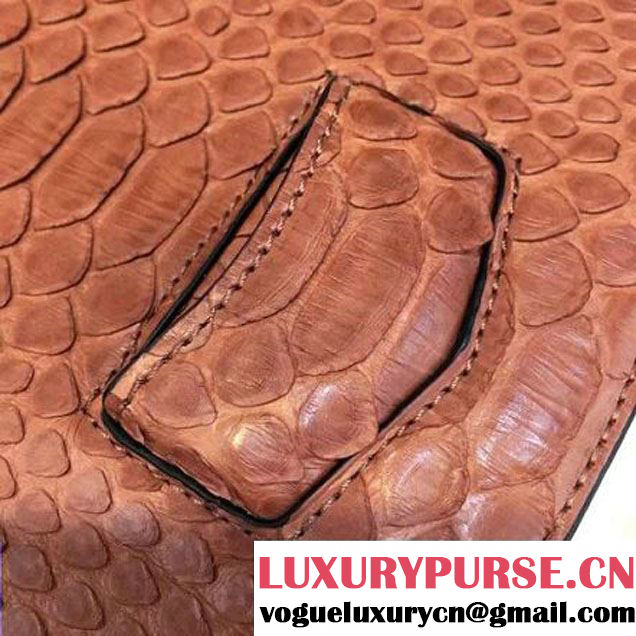 Celine Small Trotteur Shoulder Bag in Python Leather Cinnamon 2016  (1A021-6080225 )