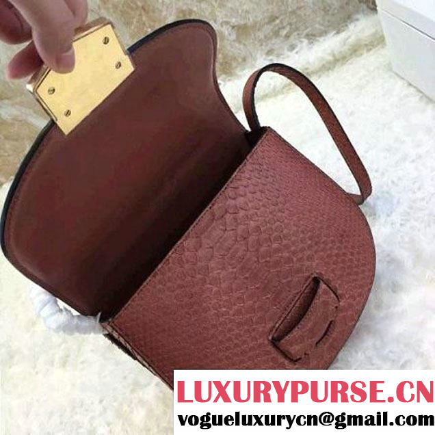 Celine Small Trotteur Shoulder Bag in Python Leather Cinnamon 2016  (1A021-6080225 )