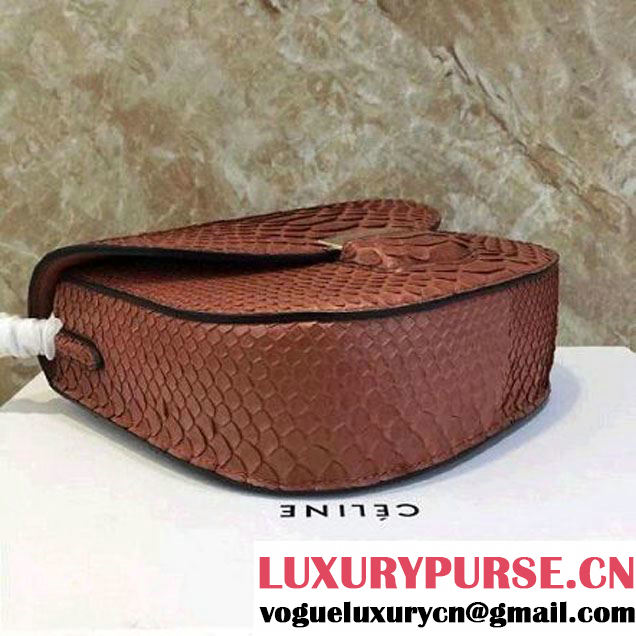 Celine Small Trotteur Shoulder Bag in Python Leather Cinnamon 2016  (1A021-6080225 )