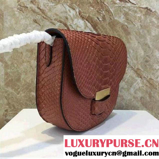 Celine Small Trotteur Shoulder Bag in Python Leather Cinnamon 2016  (1A021-6080225 )