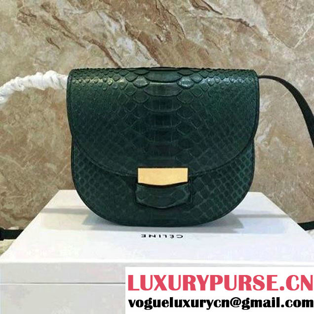 Celine Small Trotteur Shoulder Bag in Python Leather Green 2016 (1A021-6080226 )