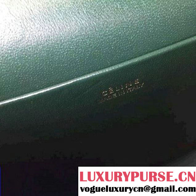 Celine Small Trotteur Shoulder Bag in Python Leather Green 2016  (1A021-6080226 )