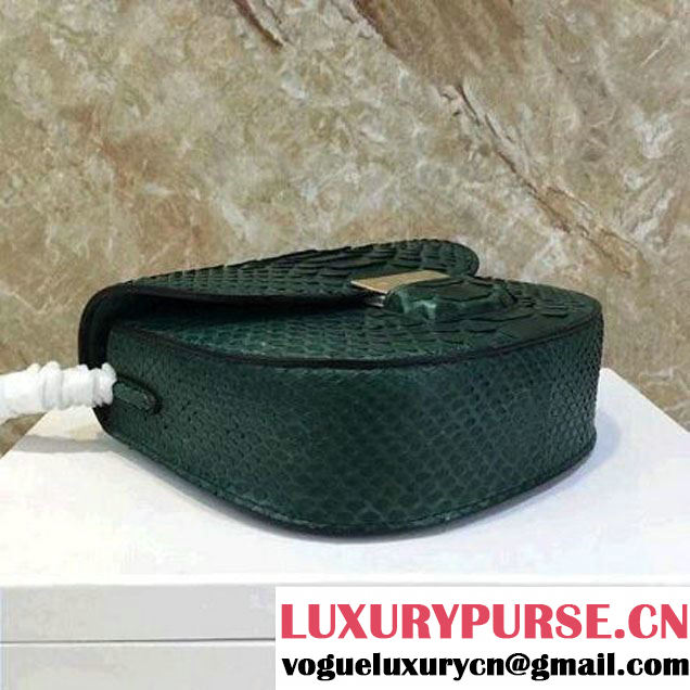 Celine Small Trotteur Shoulder Bag in Python Leather Green 2016  (1A021-6080226 )