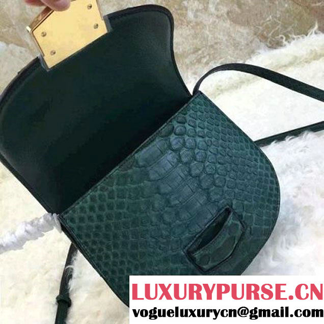 Celine Small Trotteur Shoulder Bag in Python Leather Green 2016  (1A021-6080226 )