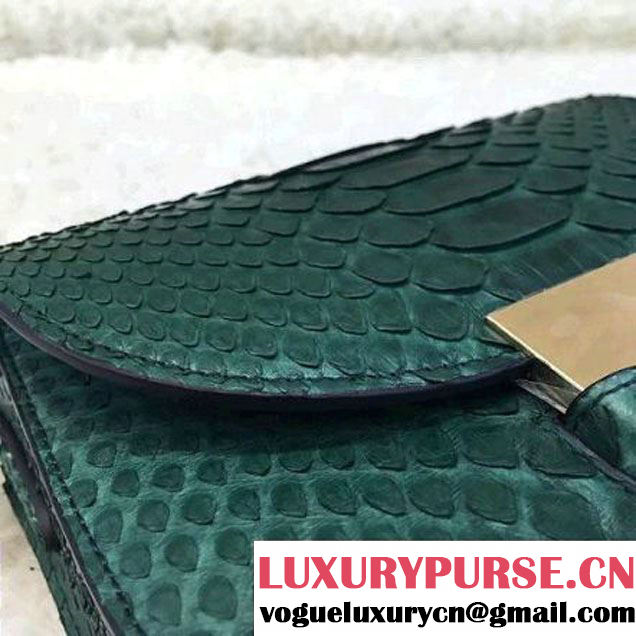 Celine Small Trotteur Shoulder Bag in Python Leather Green 2016  (1A021-6080226 )