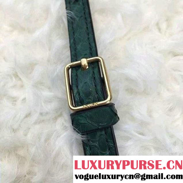 Celine Small Trotteur Shoulder Bag in Python Leather Green 2016  (1A021-6080226 )