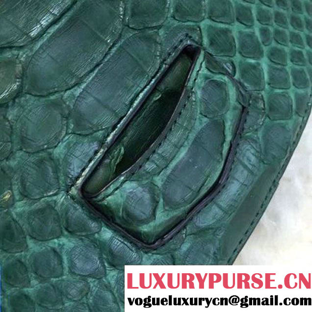 Celine Small Trotteur Shoulder Bag in Python Leather Green 2016  (1A021-6080226 )