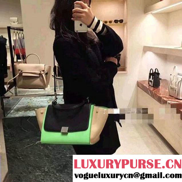 Celine Small Trapezre Tricolor Bag In Smooth Calfskin & Suede Leather Black/Green/Beige 2017 (OZZ-7041236 )