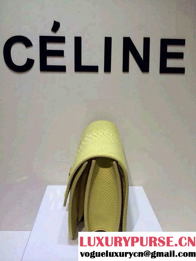 Celine Box Python Pattern Flap Bag Yellow