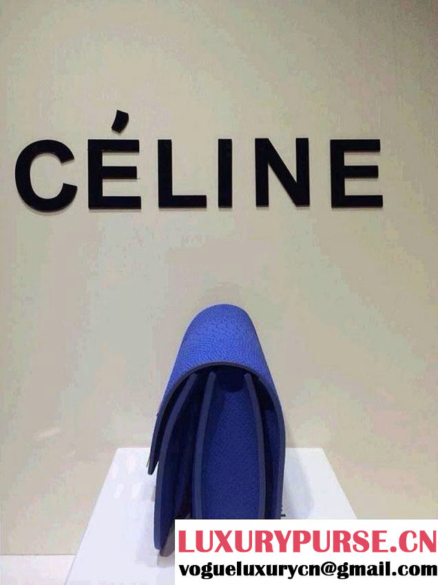 Celine Box Python Pattern Flap Bag Blue