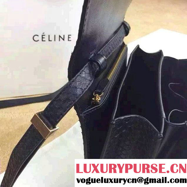 Celine Python Leather Classic Box Bag Black 2015