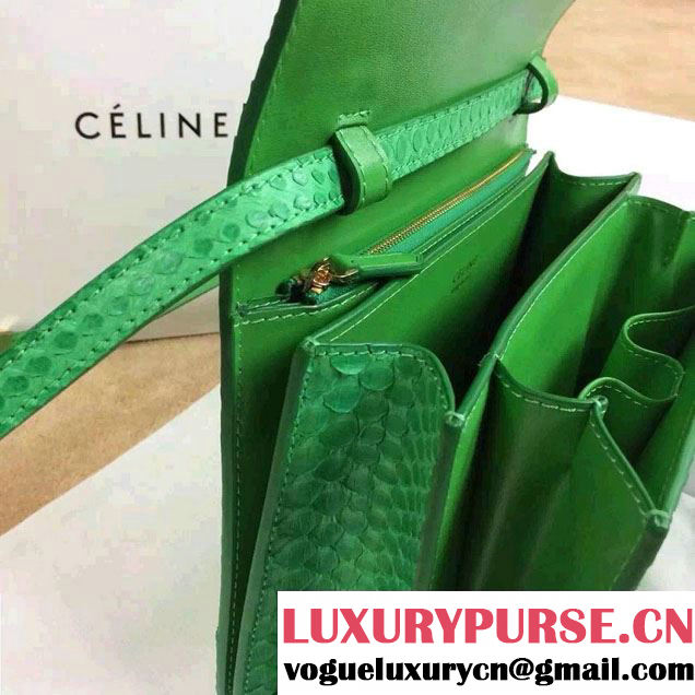 Celine Python Leather Classic Box Bag Green 2015
