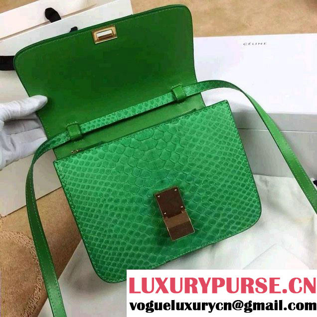Celine Python Leather Classic Box Bag Green 2015