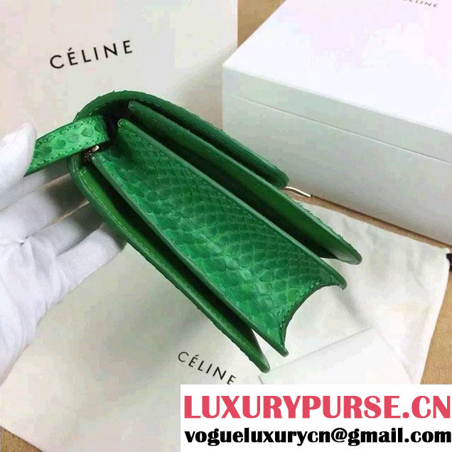 Celine Python Leather Classic Box Bag Green 2015