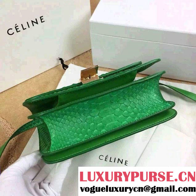 Celine Python Leather Classic Box Bag Green 2015