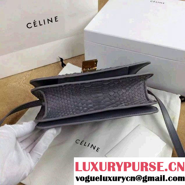 Celine Python Leather Classic Box Bag Gray 2015