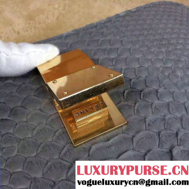 Celine Python Leather Classic Box Bag Gray 2015