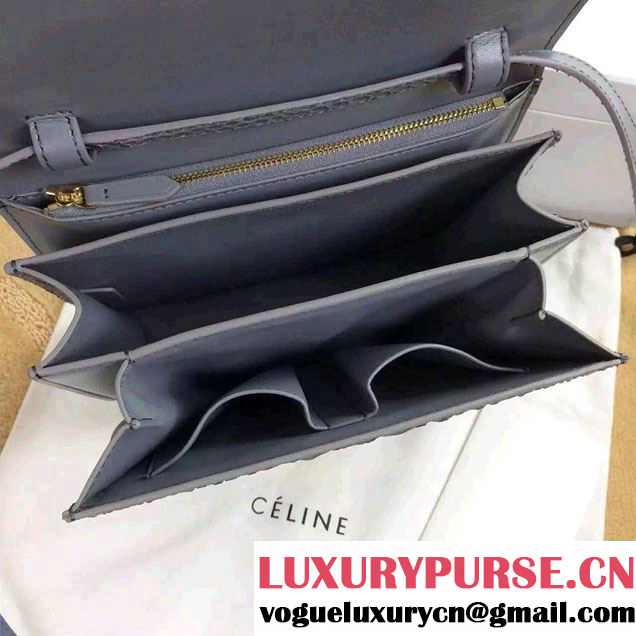 Celine Python Leather Classic Box Bag Gray 2015
