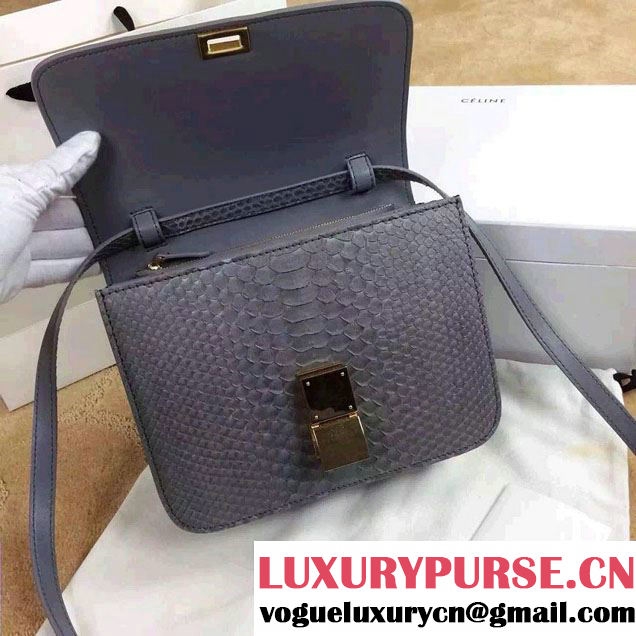 Celine Python Leather Classic Box Bag Gray 2015