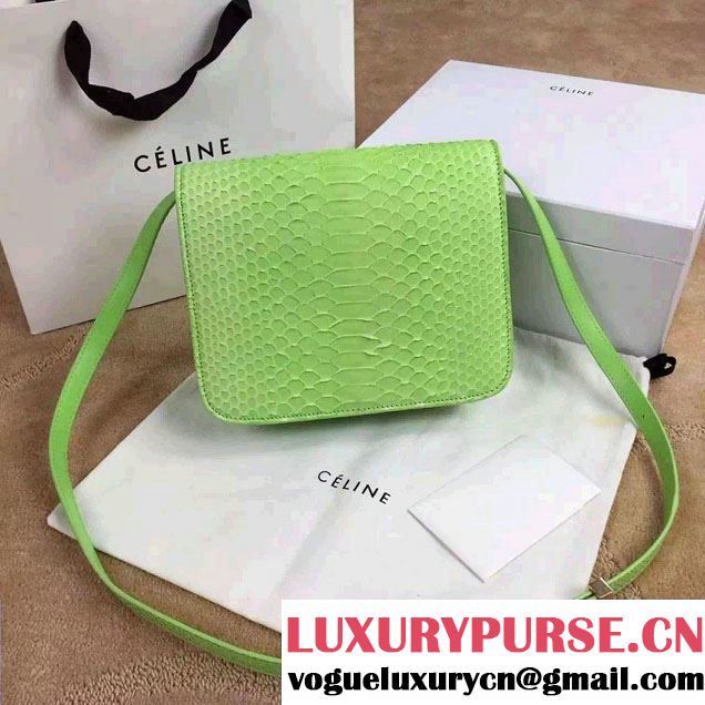 Celine Python Leather Classic Box Bag Light Green 2015