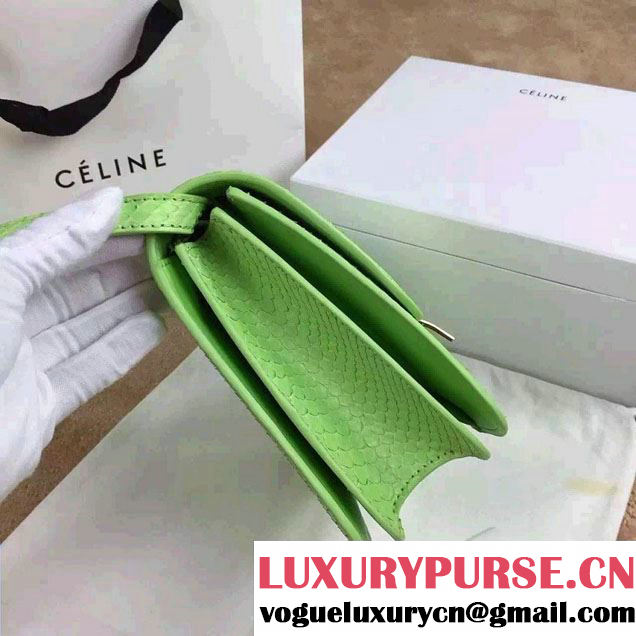 Celine Python Leather Classic Box Bag Light Green 2015