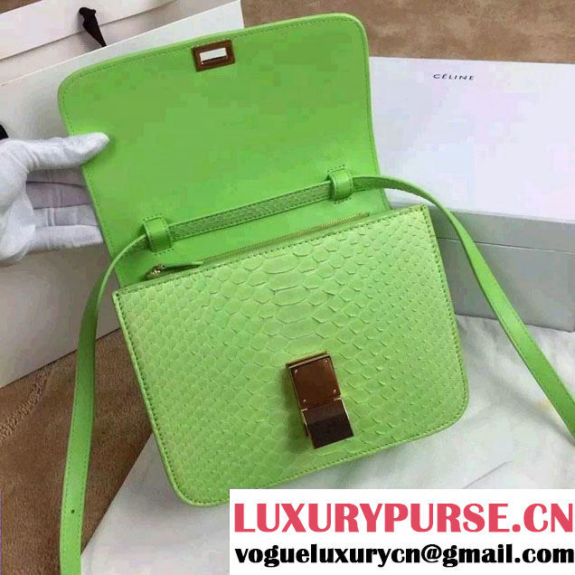 Celine Python Leather Classic Box Bag Light Green 2015