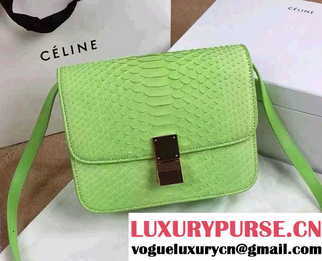 Celine Python Leather Classic Box Bag Light Green 2015
