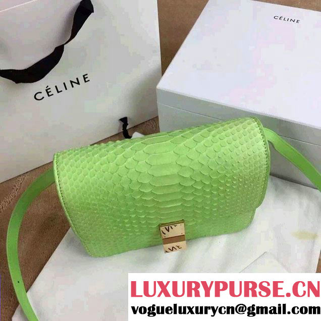 Celine Python Leather Classic Box Bag Light Green 2015