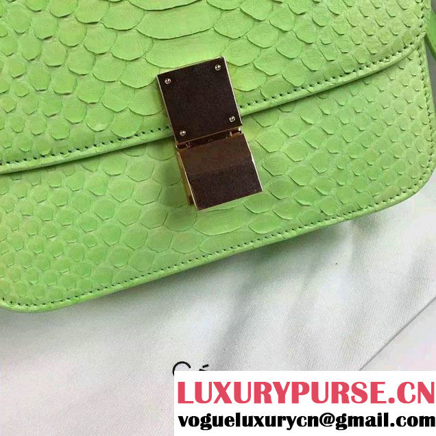 Celine Python Leather Classic Box Bag Light Green 2015