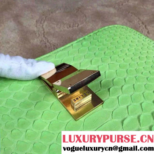 Celine Python Leather Classic Box Bag Light Green 2015