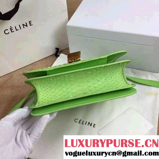Celine Python Leather Classic Box Bag Light Green 2015