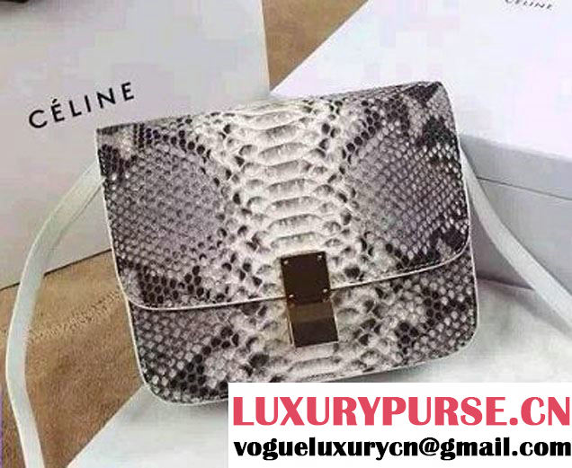 Celine Python Leather Classic Box Bag 2015