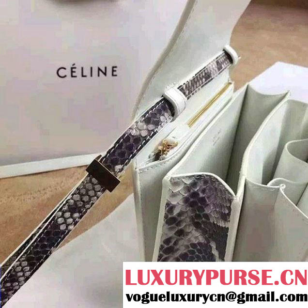Celine Python Leather Classic Box Bag 2015