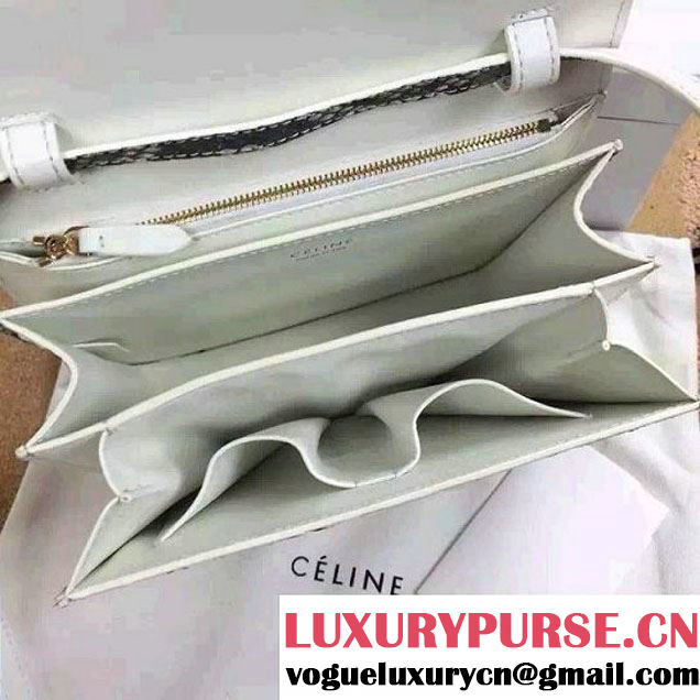 Celine Python Leather Classic Box Bag 2015