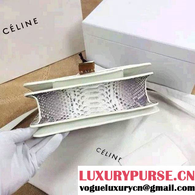Celine Python Leather Classic Box Bag 2015