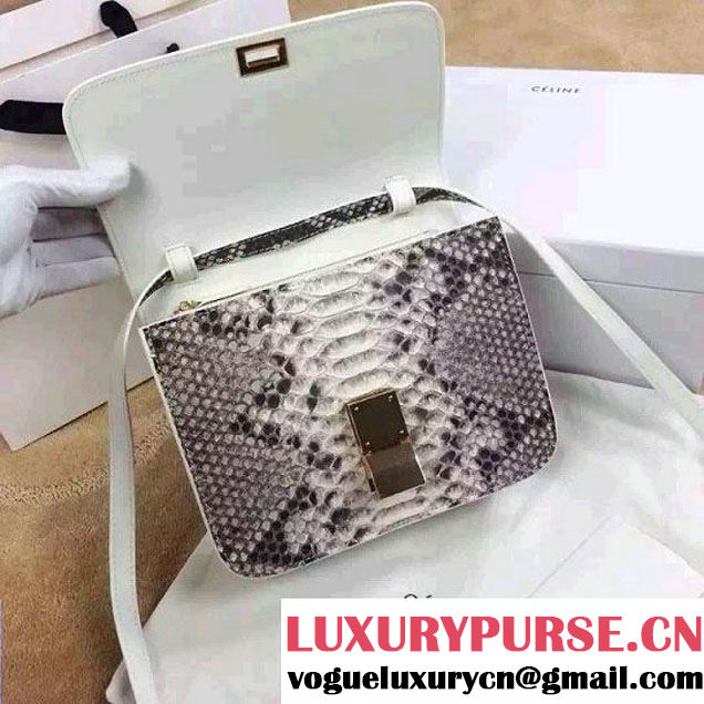 Celine Python Leather Classic Box Bag 2015