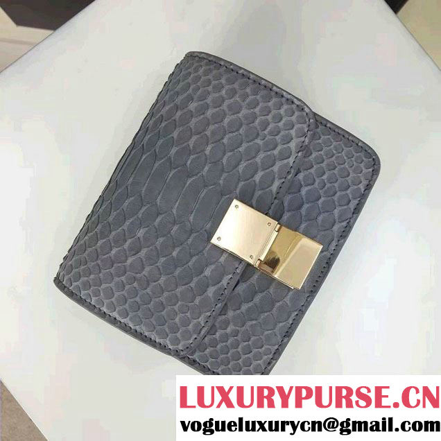 Celine Python Leather Classic Box Small Bag Gray 2016