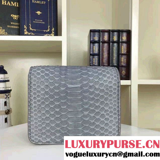 Celine Python Leather Classic Box Small Bag Gray 2016