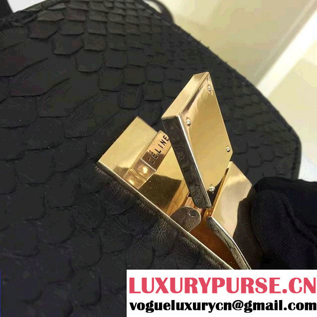 Celine Python Leather Classic Box Small Bag Black 2016