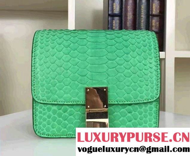 Celine Python Leather Classic Box Small Bag Green 2016