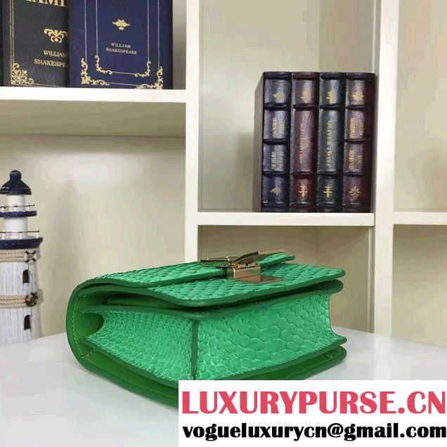 Celine Python Leather Classic Box Small Bag Green 2016
