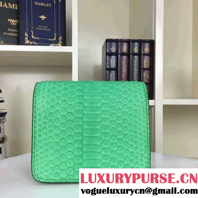 Celine Python Leather Classic Box Small Bag Green 2016