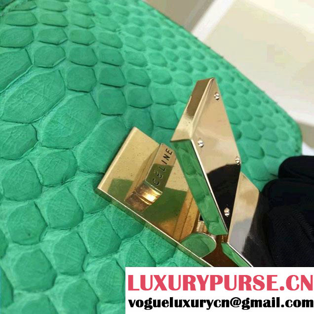 Celine Python Leather Classic Box Small Bag Green 2016